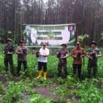 Senirgitas Perhutani KPH Bondowoso dan Jajaran Raider 514/SY, Giat Penanaman Bibit Pohon Alpukat