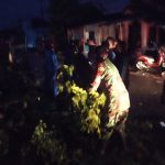 Babinsa Rogojampi Banyuwangi Sigap Langsung Evakuasi Pohon Tumbang Akibat Hujan Dan Angin Kencang