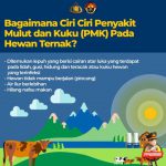 Antisipasi Penularan Wabah PMK, Pemkab Malang Tutup Sementara Seluruh Pasar Hewan