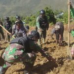 Mencegah Krisis Pangan Di Pegunungan Tengah Papua, Satgas Yonif Mekanis 203/AK Membuka Lahan Tidur Bersama Masyarakat