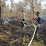 Kobaran Api Menghanguskan 7 Hektar Lahan Kosong di Desa Terantang Hilir