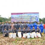 Dukung Program Ketahanan Pangan, TNI AL Banjarmasin Laksanakan Panen Raya Jagung