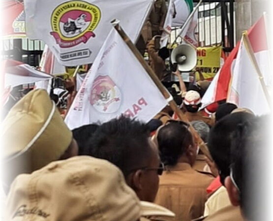 Demo di DPR, Ribuan Kades Se Indonesia Tuntut Masa Jabatan 9 Tahun