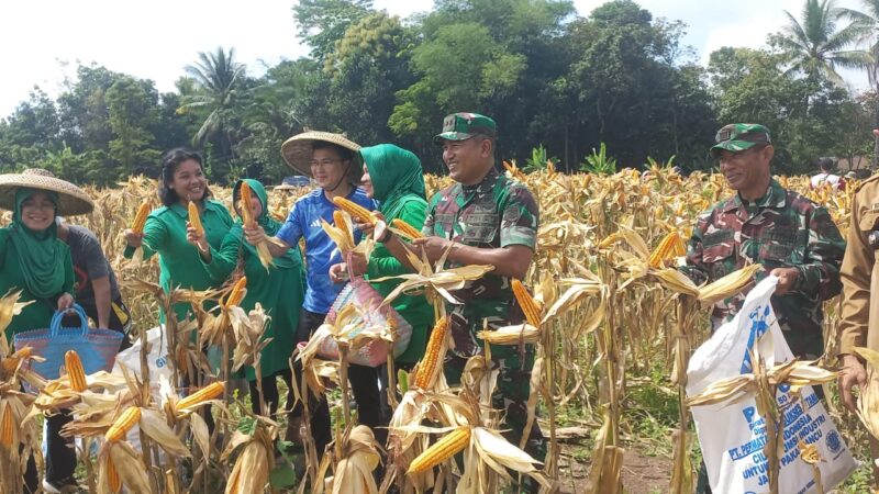 Pangdam III/Slw Bersama Wamentan Tanam Jagung di Kebun Dodiklatpur Rindam III/Slw