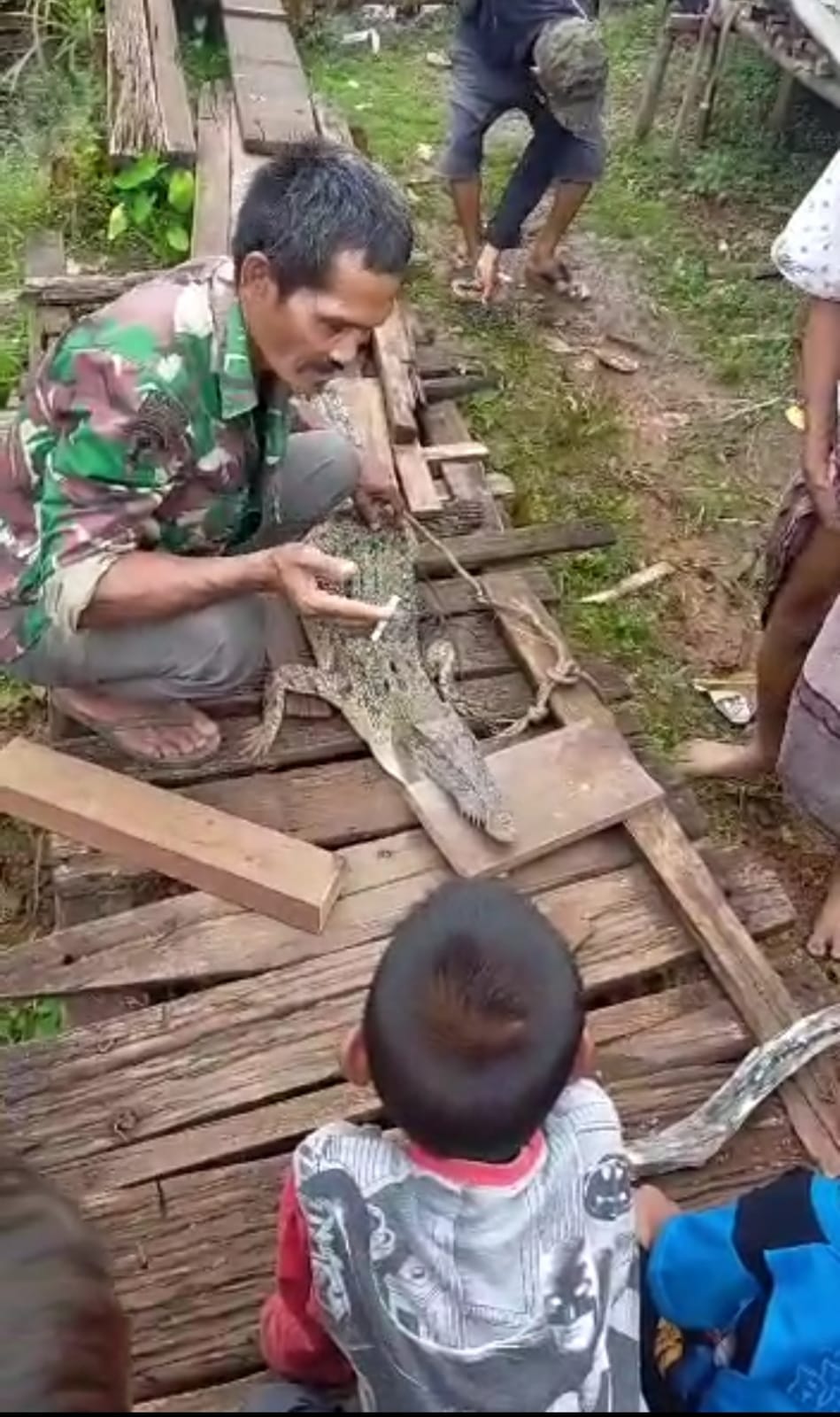 Seekor Buaya Muara Di Sungai Cempaga Terlilit Jaring Ikan Nelayan