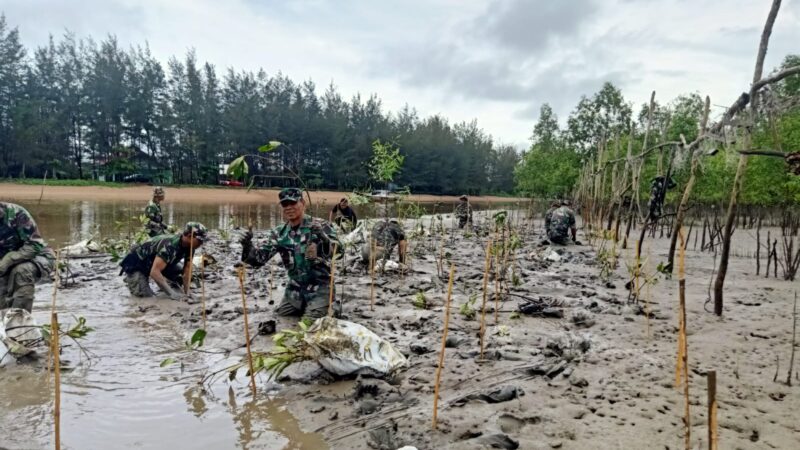Pabung Kab.Seruyan Kodim 1015/Sampit Menggelar Penanaman Mangrove di Pantai Sungai Bakau, Cegah Abrasi