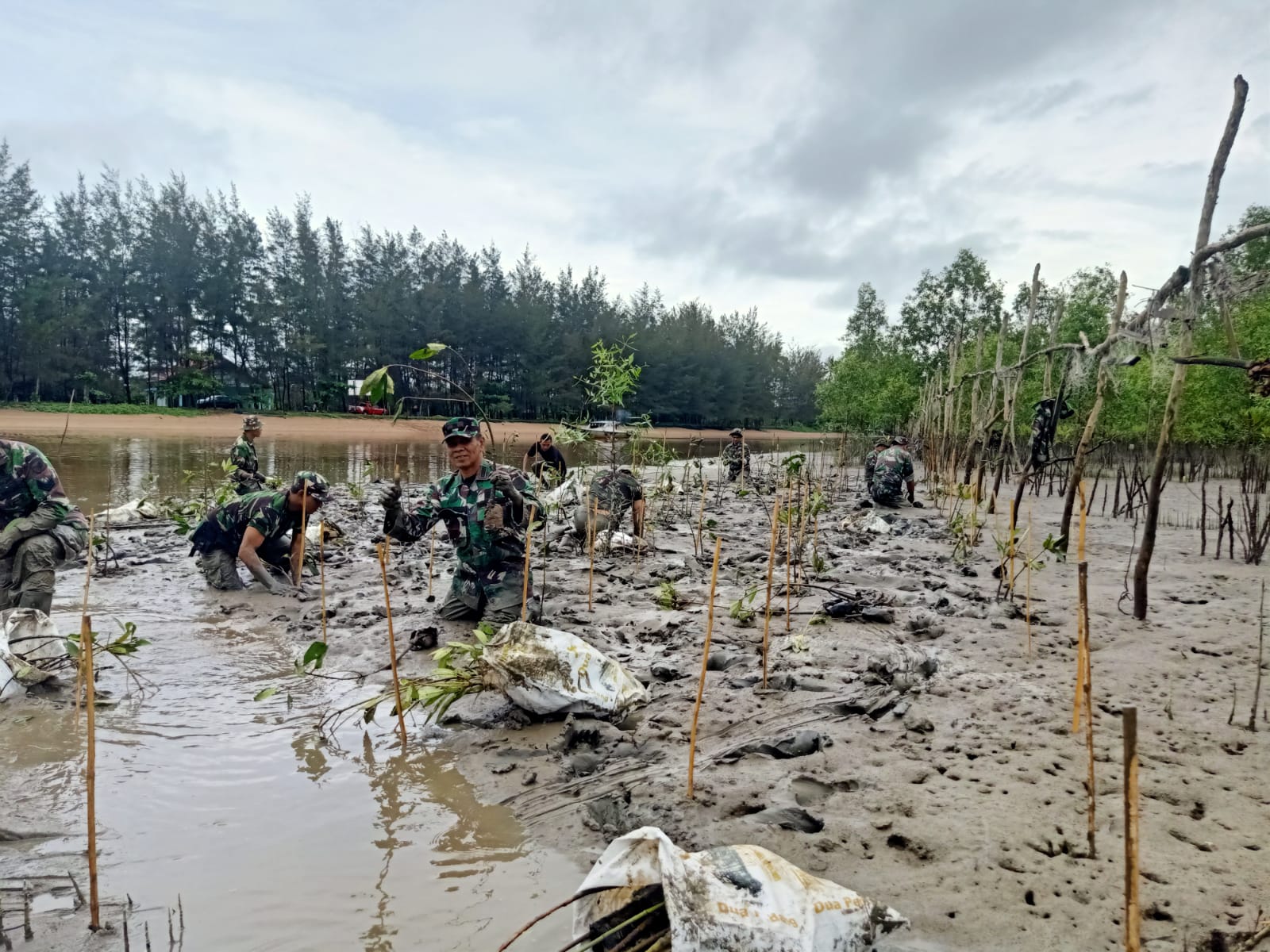 Pabung Kab.Seruyan Kodim 1015/Sampit Menggelar Penanaman Mangrove di Pantai Sungai Bakau, Cegah Abrasi