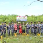 Dukung Kelestarian Lingkungan Hidup Dan Jaga Ekosistem Di Laut, TNI AL Tanam 1.500 Pohon Mangrove