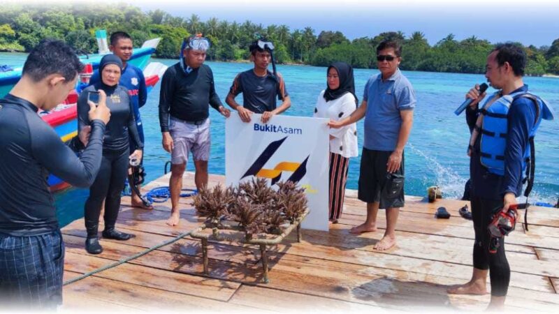 Bukit Asam Konservasi Terumbu Karang di Pulau Pahawang