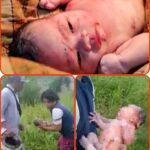 Bayi Baru Lahir Ditemukan Didalam Kardus Disemak Semak Gegerkan Warga Mekarjaya Panongan Tangerang.