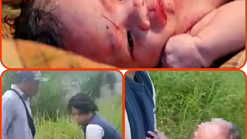 Bayi Baru Lahir Ditemukan Didalam Kardus Disemak Semak Gegerkan Warga Mekarjaya Panongan Tangerang.