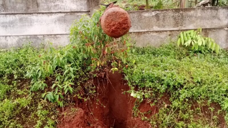 Tiang listrik PLN di Kampung Cibunar Bogor Tumbang