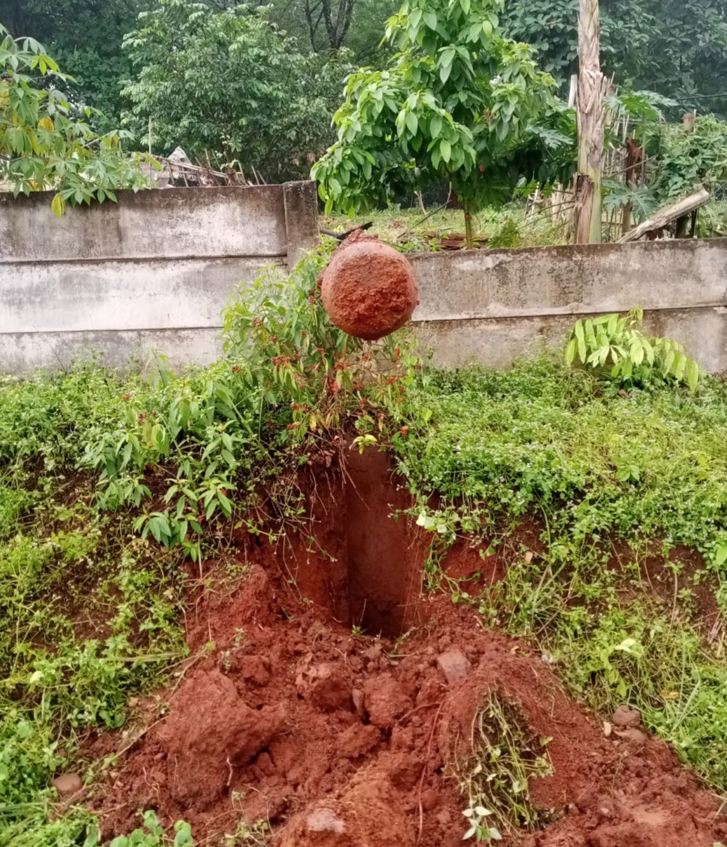 Tiang listrik PLN di Kampung Cibunar Bogor Tumbang