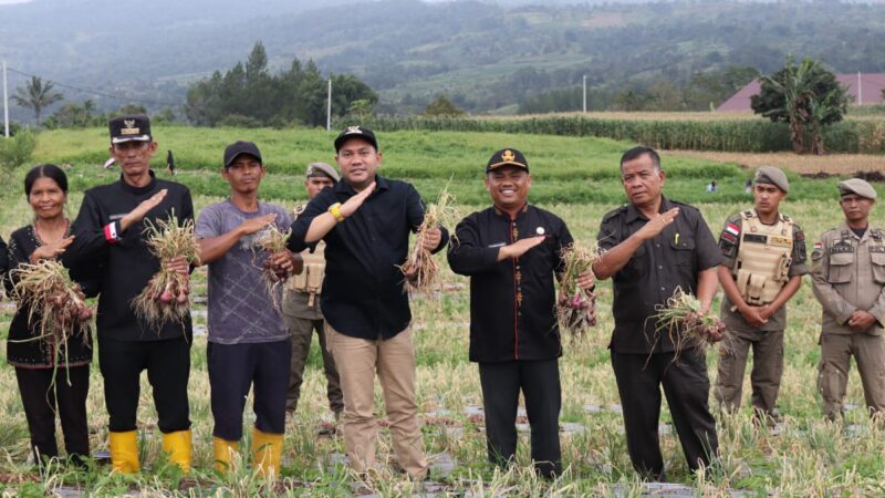 Bupati Pakpak Bharat Hadiri Panen Perdana Bawang Merah di Desa Traju