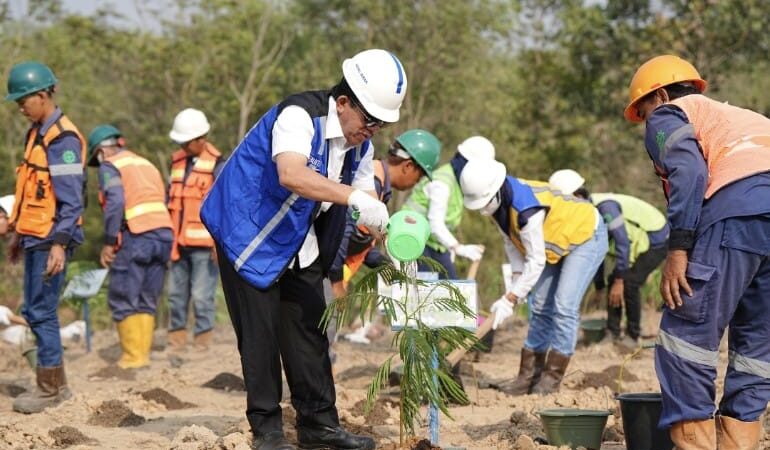 Bukit Asam (PTBA) Kembangkan Energi Biomassa dari Kaliandra Merah