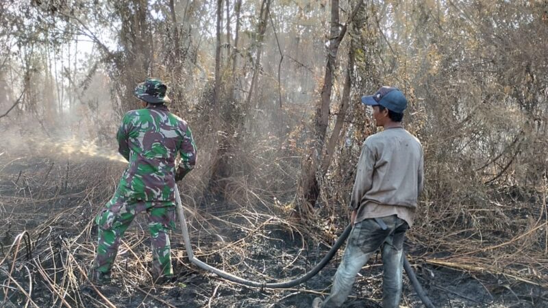 Babinsa 1015-01/Mentaya Hilir Selatan Berjibaku Bersama Satgas Karhutla Padamkan Api