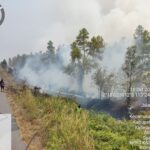 Gerak Cepat, Babinsa Kodim 1019/Katingan Bantu Padamkan Kebakaran Hutan dan Lahan (Karhutla)