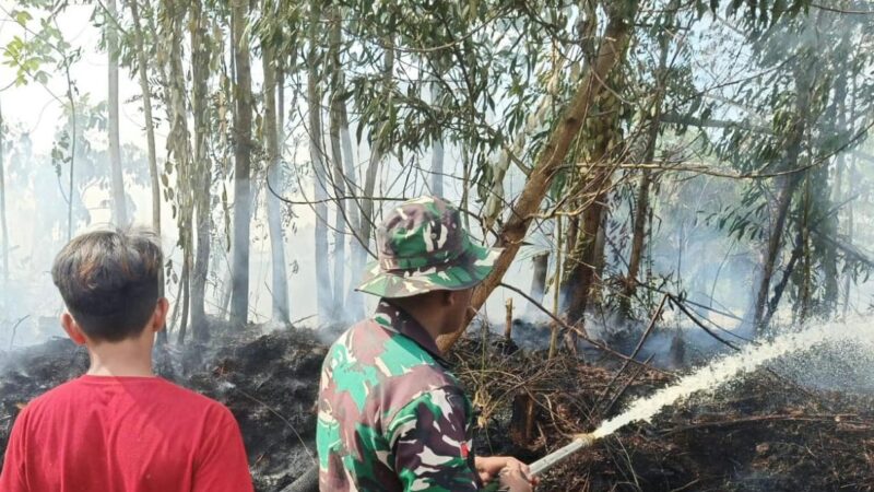 Petugas Gabungan Siaga Karhutla Lakukan Pendinginan Lokasi Kebakaran Hutan dan Lahan.