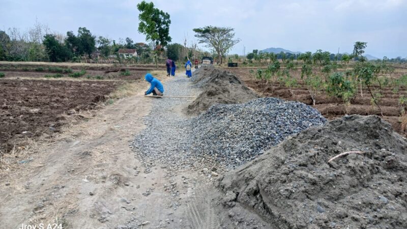 Pembangunan Rabat Beton Shandsett di Desa Wlahar Brebes Diduga Tidak Sesuai RAB