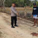 Jasad Perempuan Cantik Asal Jawa Tengah Ditemukan Warga Desa Kara Kabupaten Sampang.