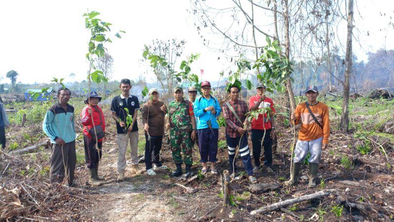Galakan Penghijauan, Anggota Koramil 1015-10/Telaga Pulang Bersama Warga Gotong Royong Tanam Pohon