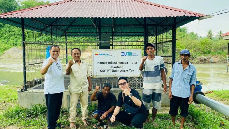 Energi Surya Bukit Asam Tingkatkan Masa Panen Petani Talawi