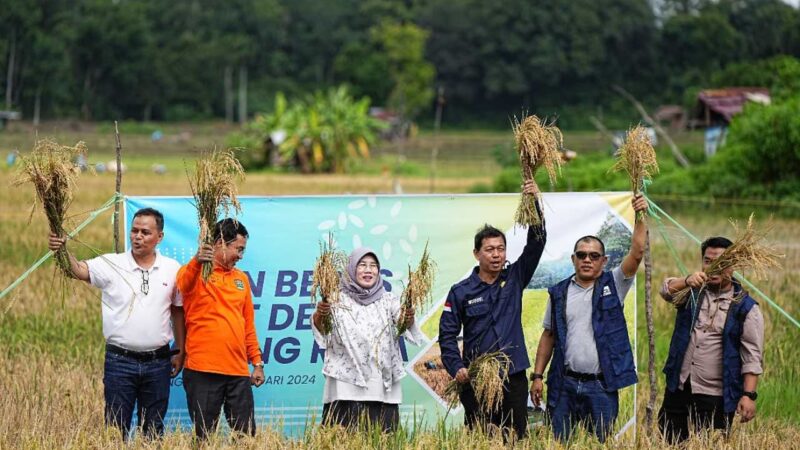 PLTS Irigasi Bukit Asam (PTBA) Dukung Pertanian Berkelanjutan