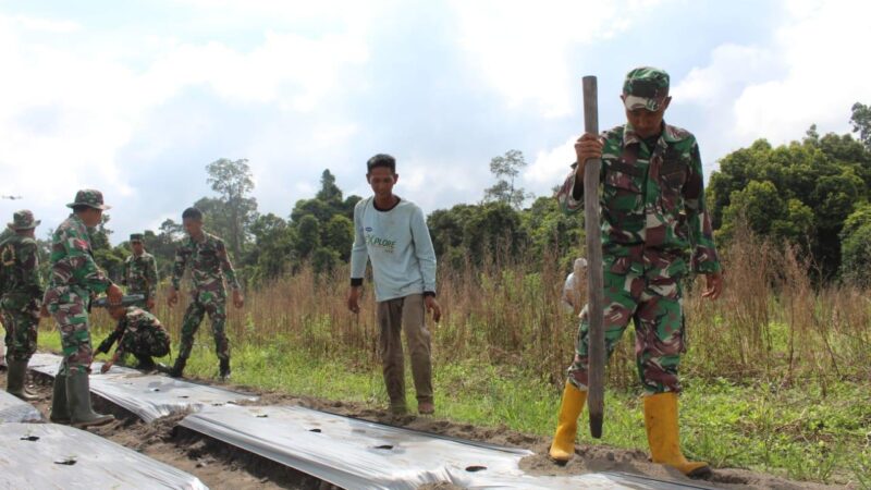 Lahan Kosong Milik Kodim 1012/Buntok Seluas 5 Ha Menjadi Kebun Semangka