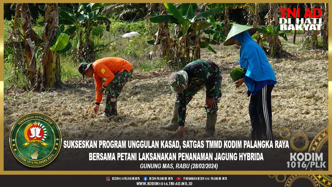 Sukseskan Program Unggulan Kasad, Satgas TMMD Kodim Palangka Raya Bersama Petani Laksanakan Penanaman Jagung Hybrida