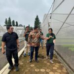 Kunjungi Beleaf Farms Meraki di Cianjur, Bupati Eddy Berutu Impikan Mekanisasi Pertanian di Dairi