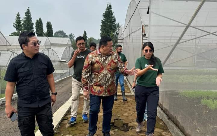 Kunjungi Beleaf Farms Meraki di Cianjur, Bupati Eddy Berutu Impikan Mekanisasi Pertanian di Dairi