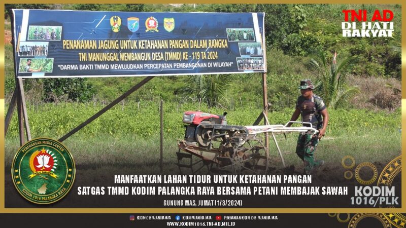 Manfaatkan Lahan Tidur Untuk Ketahanan Pangan, Satgas TMMD Kodim Palangka Raya Bersama Petani Membajak Sawah