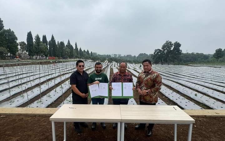 Wujudkan Kemandirian Petani Menuju Ketahanan Pangan, Bupati Eddy Berutu Saksikan Penandatangan Kerjasama Koperasi Aur Dairi Botanical dan PT. Beleaf.