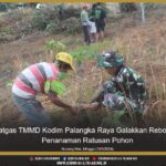 Satgas TMMD Kodim Palangka Raya Galakkan Reboisasi Penanaman Ratusan Pohon