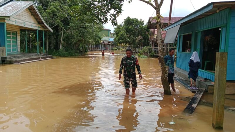 Babinsa Koramil 1015-08/Mentaya Hulu Pantau Banjir Di Wilayah Binaan