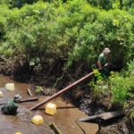 Larutkan Kayu Melalui Sungai, Tidak Menyurutkan Semangat, Satgas TMMD Ke-120 Kodim 1015/Sampit