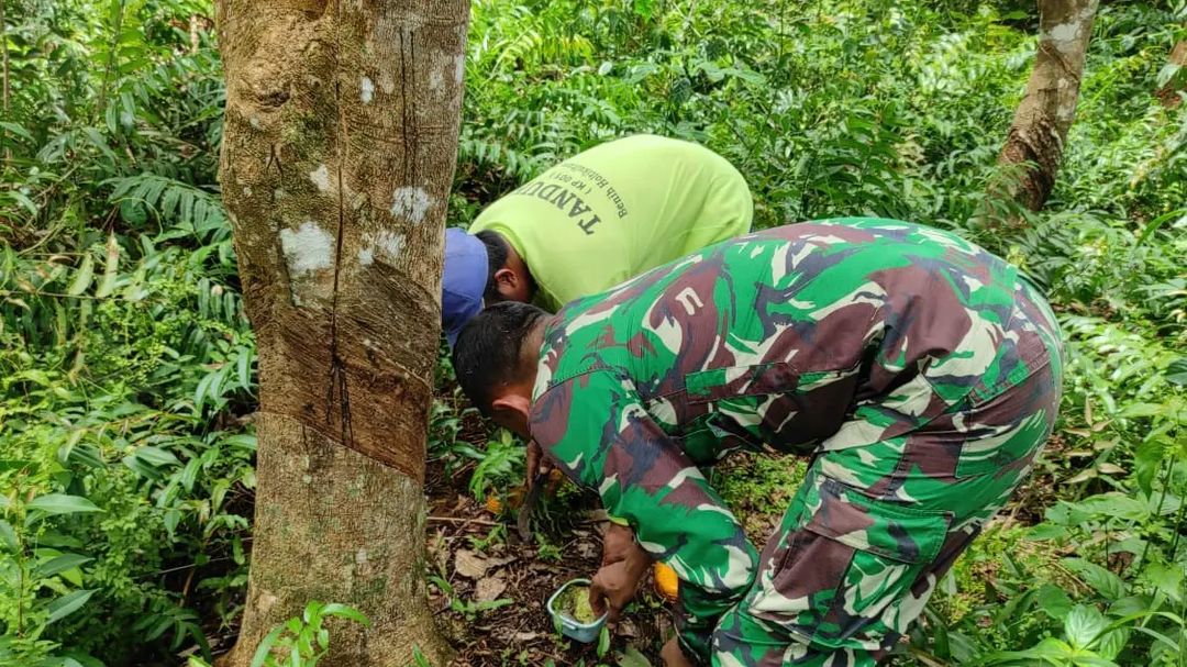 Satgas TMMD ke 120 Kodim 1015/Sampit Bantu Warga Menoreh Karet