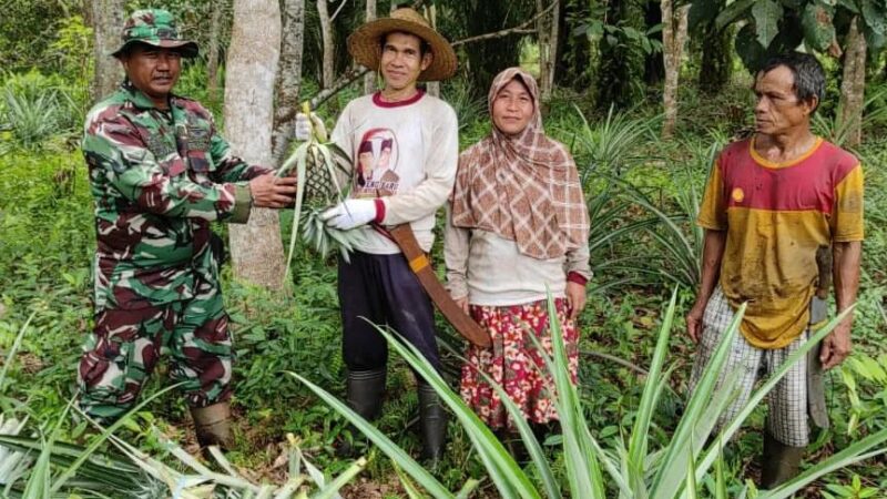 Satgas TMMD ke 120 Kodim 1015/Sampit Gelar Komsos Dengan Petani