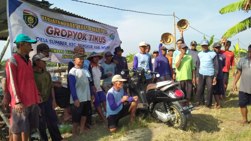 Desa Sumber Kecamatan Pangkur Kabupaten Ngawi Adakan Berantas Hama Tikus Bersama Warga