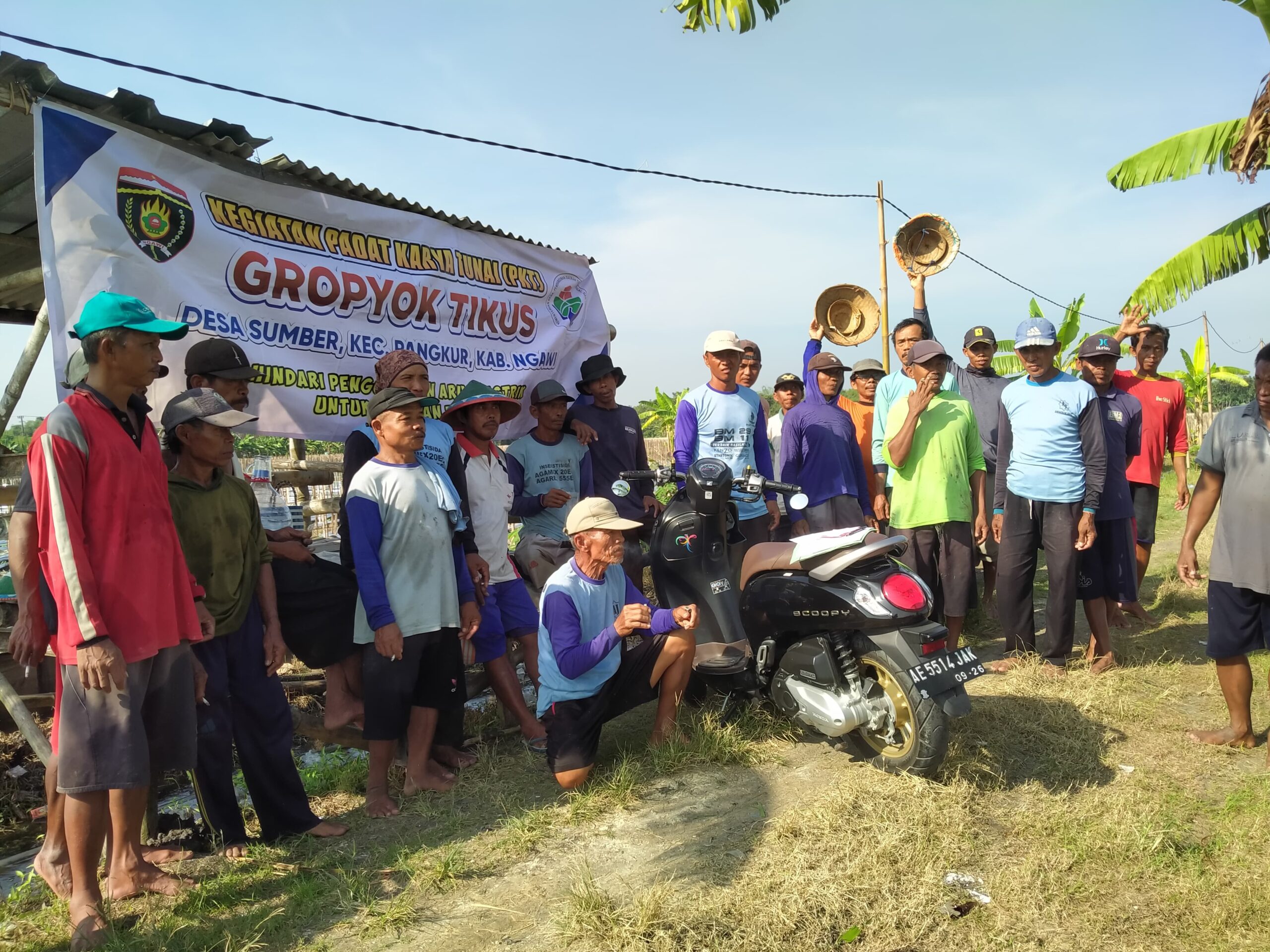 Desa Sumber Kecamatan Pangkur Kabupaten Ngawi Adakan Berantas Hama Tikus Bersama Warga