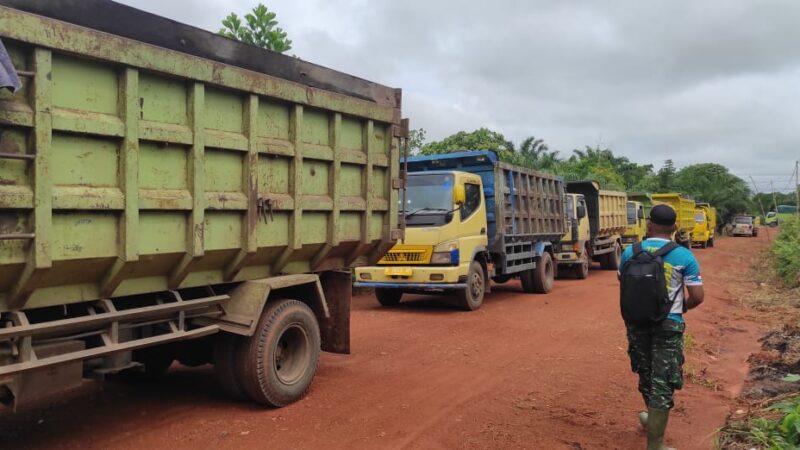 Ratusan Dump Truk Dikerahkan untuk Angkut Tanah Latrit Guna Penimbuan Badan Jalan Satgas TMMD ke 120 Kodim 1015/Sampit