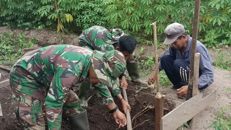 Satgas Tmmd ke 120 Kodim 1015/Sampit Bantu Petani Bangun Pondok Istirahat di Kebun