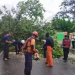 Tanggap Situasi, Polres Kobar Bantu Evakuasi Pohon Tumbang