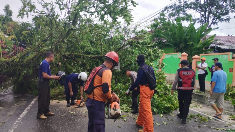 Tanggap Situasi, Polres Kobar Bantu Evakuasi Pohon Tumbang