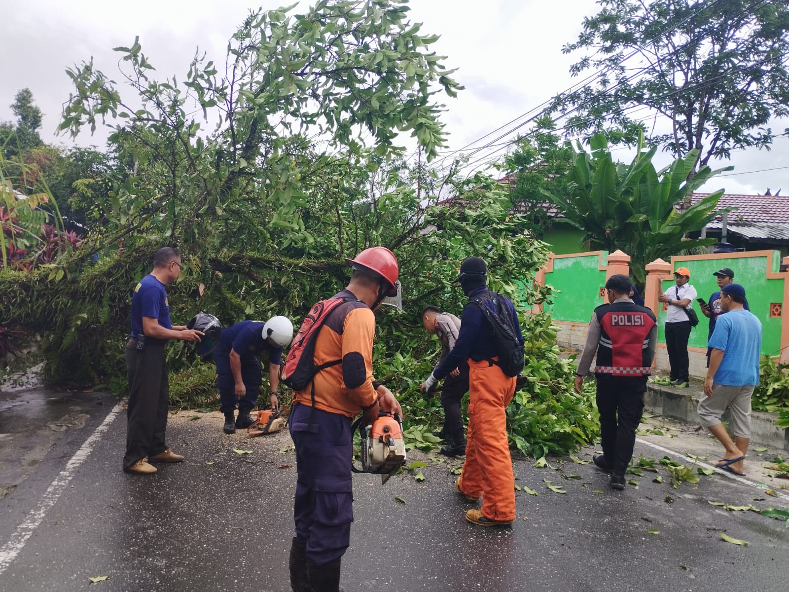 Tanggap Situasi, Polres Kobar Bantu Evakuasi Pohon Tumbang