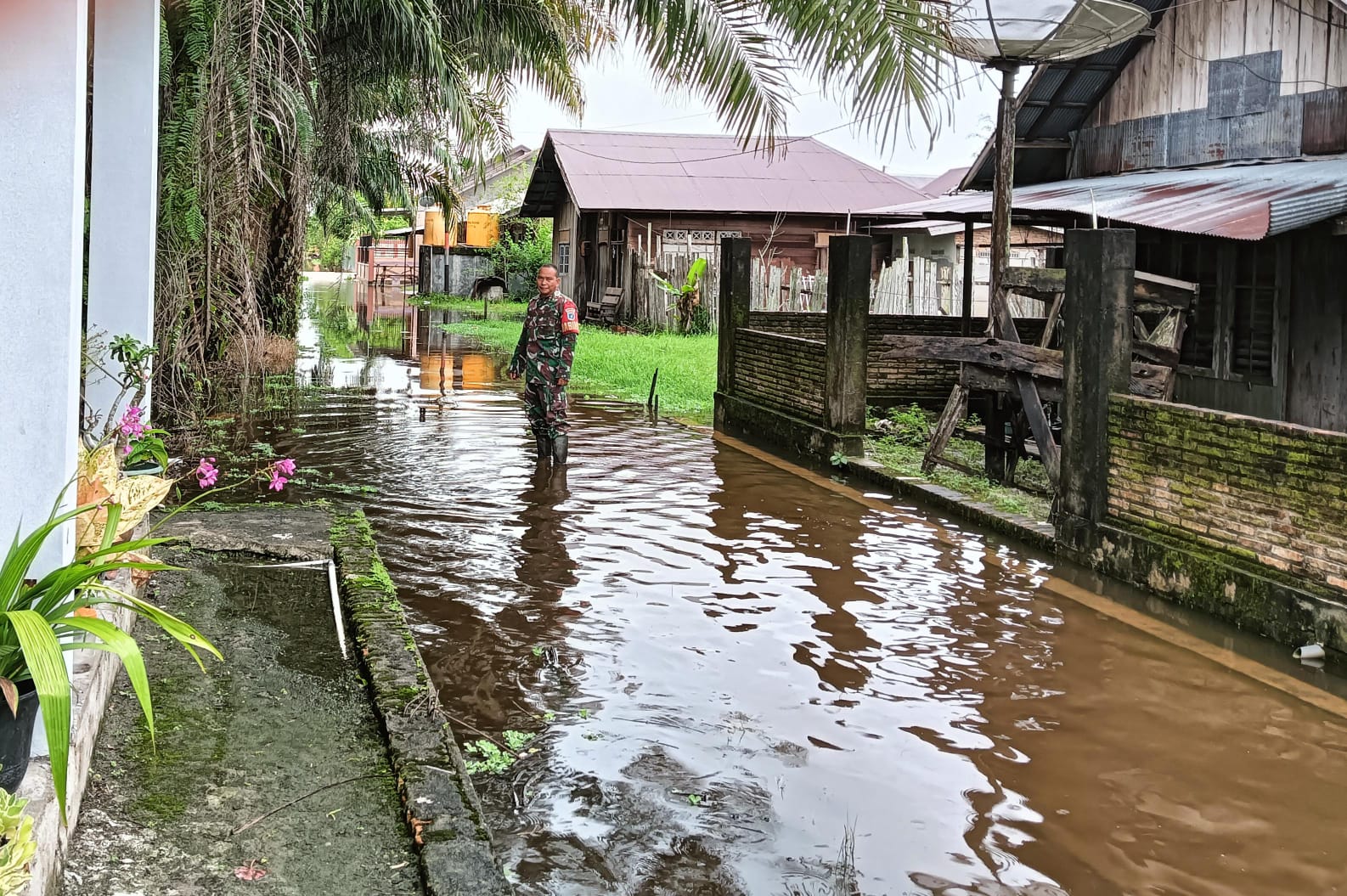 Babinsa Koramil 1015-04/Baamang Pantau Banjir Di Wilayah