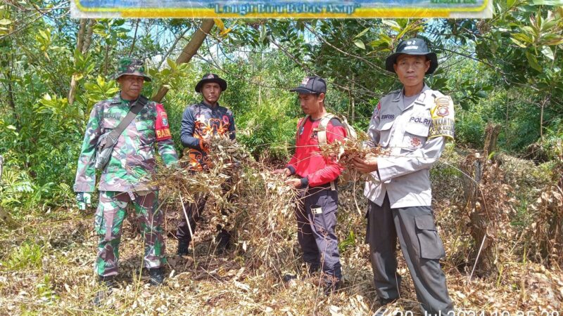 Babinsa Koramil 1016-1/Pahandut Laksanakan Patroli Cegah Karhutla