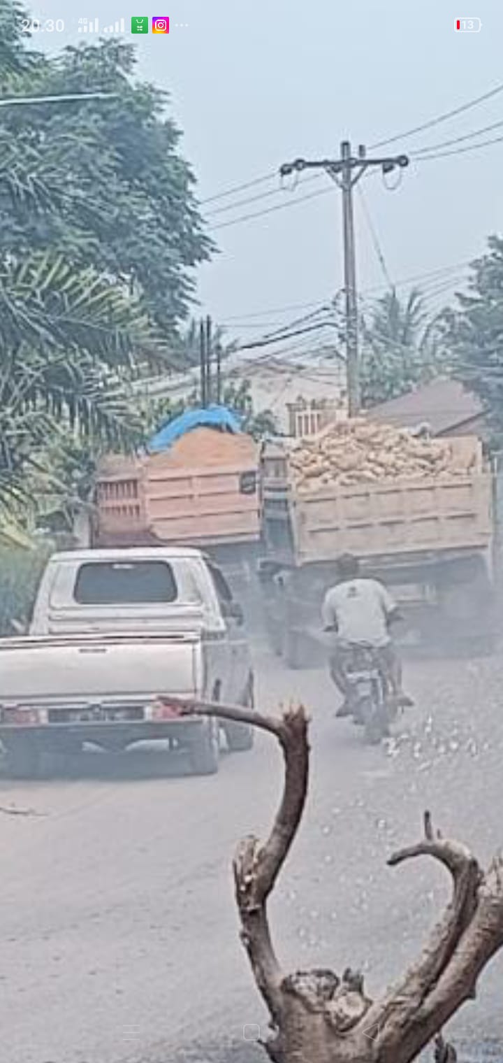 Warga Kecamatan Biru-Biru Derita ISPA Karena Hirup Debu Dari Truk Bermuatan Material Galian C