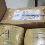 Dirreskoba Polda Metro Jaya Gagalkan Peredaran Ganja 12 Kg dalam Paket Ikan Asin