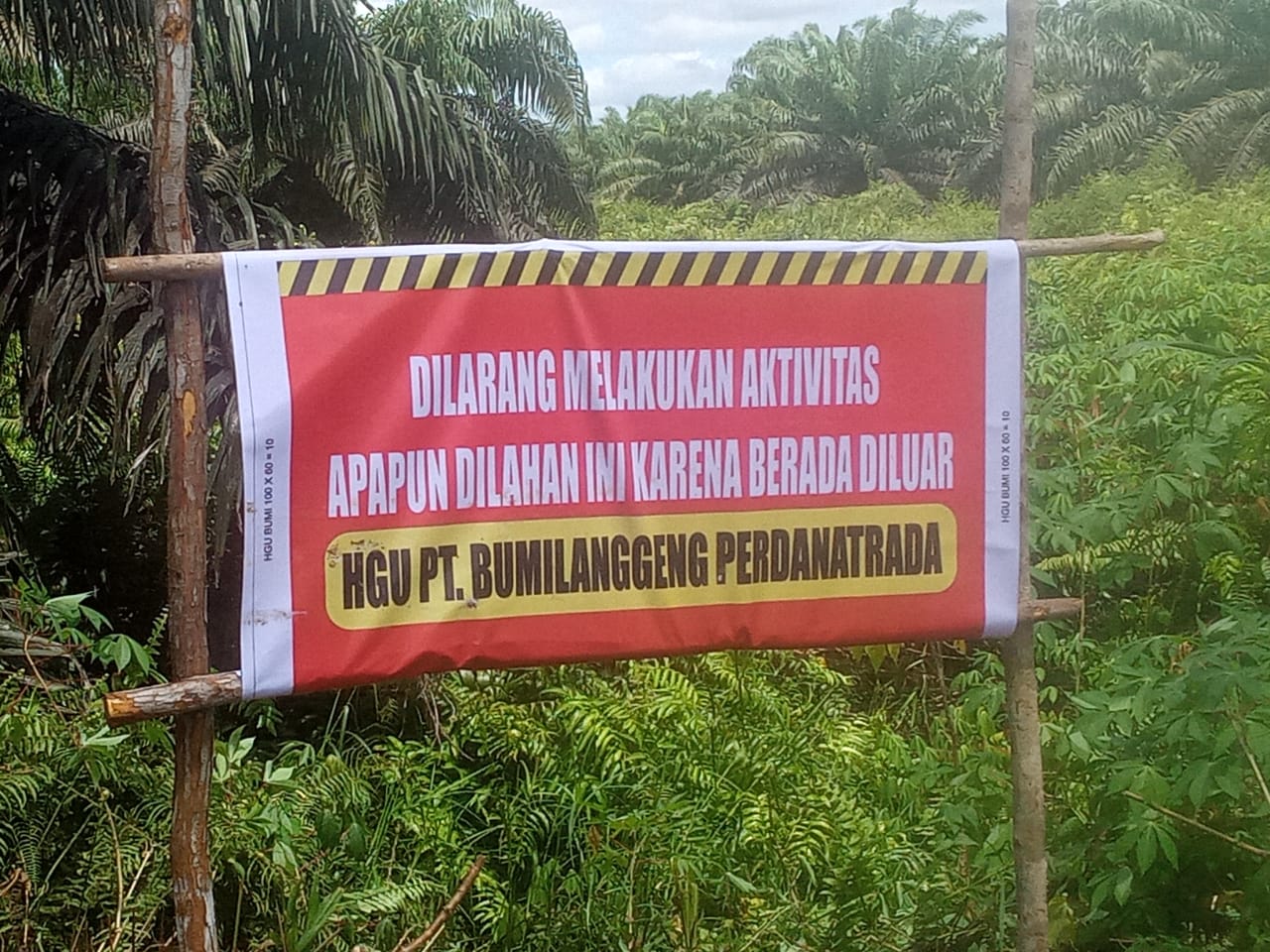 Kotawaringin Barat Warga Bedaun Tuntut PT. BLP Serahkan 20 % Kebun Sawit Dari 490 Hektar Diluar HGU Untuk TKD.